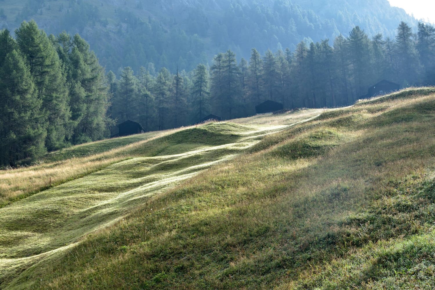 idegenvezetes-london.hu