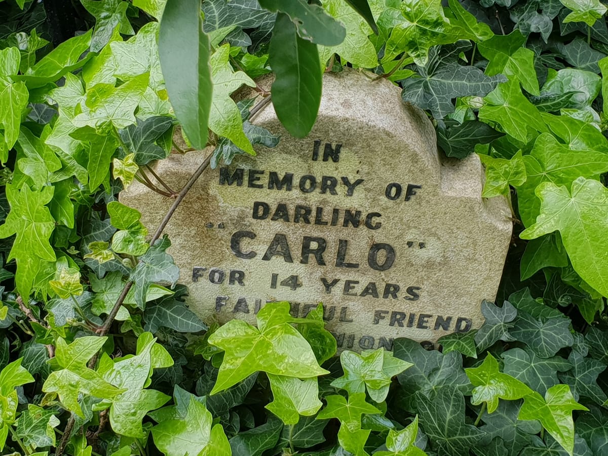 Különleges London: a viktoriánus kisállattemető