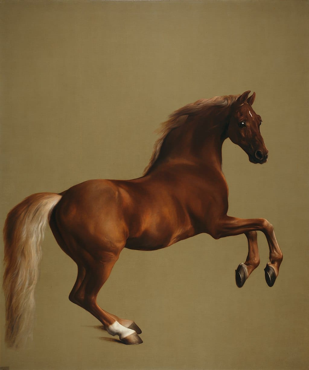 A londoni National Gallery kincsei: George Stubbs - Whistlejacket