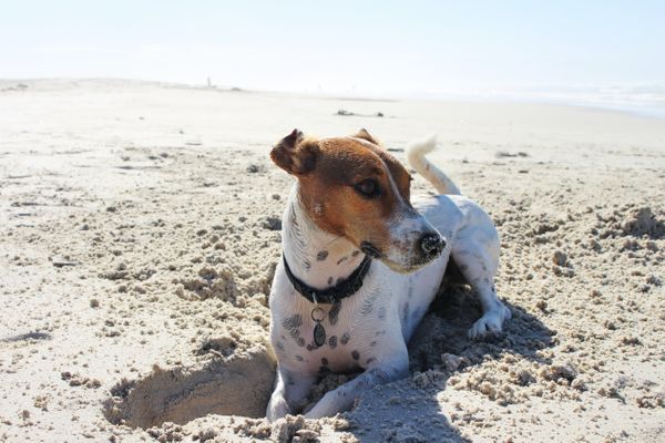 Egy napos kirándulás Londonból: Camber Sands a homokos tengerpart