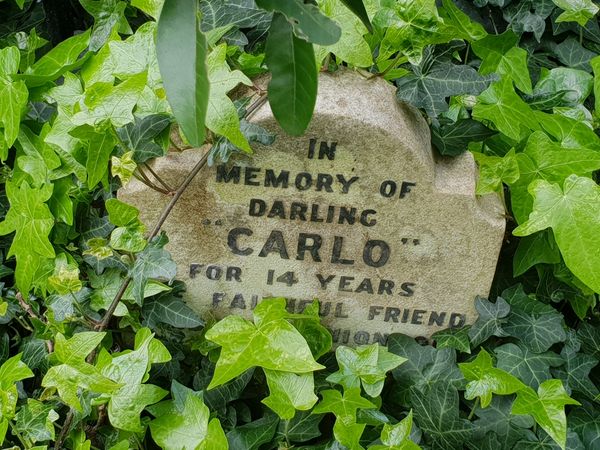 Különleges London: a viktoriánus kisállattemető