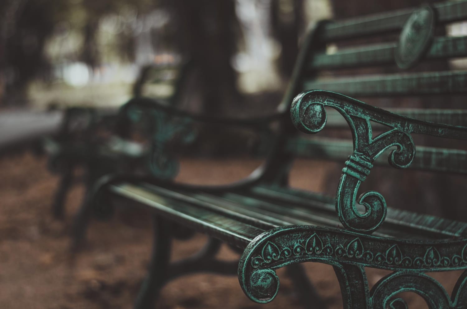 St. James's Park: a londoni madárrezervátum lakói 1. rész